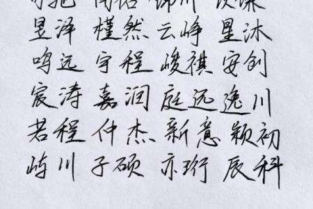 2019年3月28号卯时出生的男孩如何起名姓名