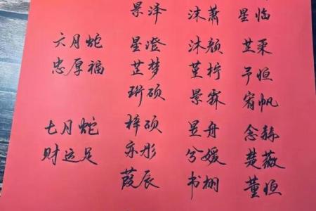 2019年5月25号丑时出生的男孩起名方法姓名