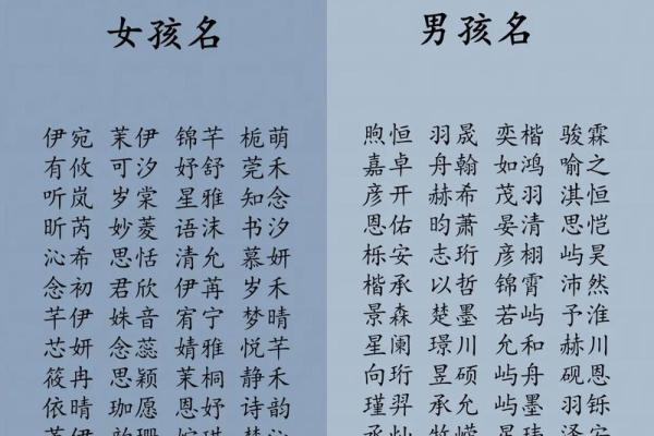 2019年3月25号巳时出生的男孩起名方法姓名