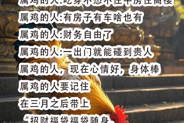 晚上出生的属鸡男孩应该怎么取名字合适姓名