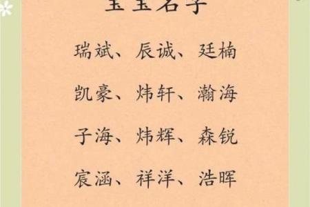 早上九点出生的属猴男孩应取什么名，适合什么字姓名