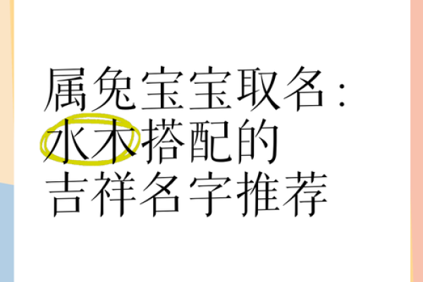 8月份出生的属兔男孩要怎样取名姓名 8月份出生的属兔男孩要怎样取名姓名