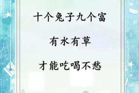 8月份出生的属兔男孩要怎样取名姓名