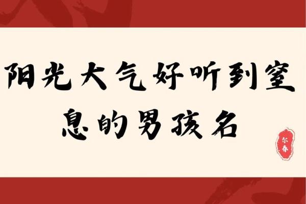 2019年5月13号寅时出生的男孩要怎么起名字姓名 2019年5月13号寅时出生的男孩要怎么起名字姓名