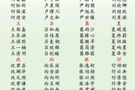 2019年4月18号丑时出生的男孩应该起什么样的名字姓名