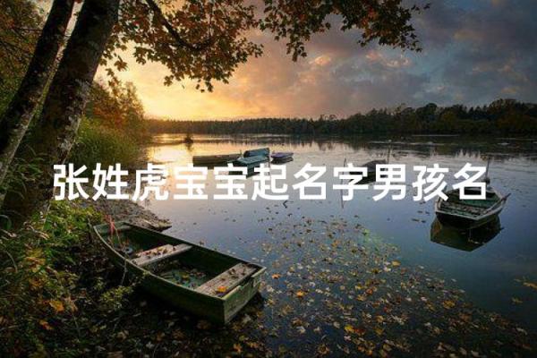 早上8点出生的属虎男孩如何起名，应用什么字姓名