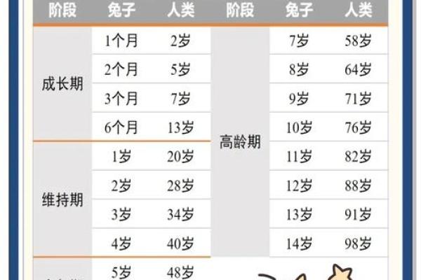 如何给属兔子时出生的男孩取名字姓名