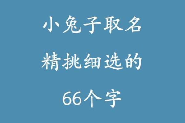 如何给属兔子时出生的男孩取名字姓名