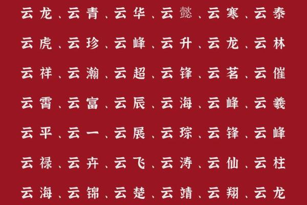 2019年5月17号寅时出生的男孩起名方法姓名