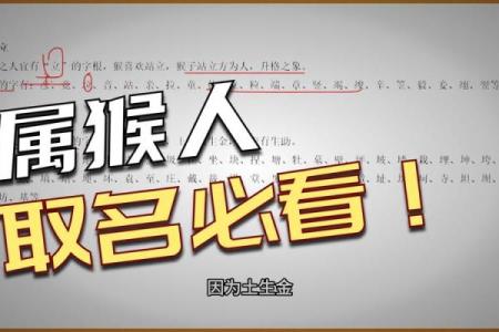 2月份出生的属猴男孩要怎样取名呢？姓名