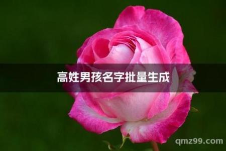 高姓男孩名字大全-高姓男孩起名字大全-高姓名字大全姓名