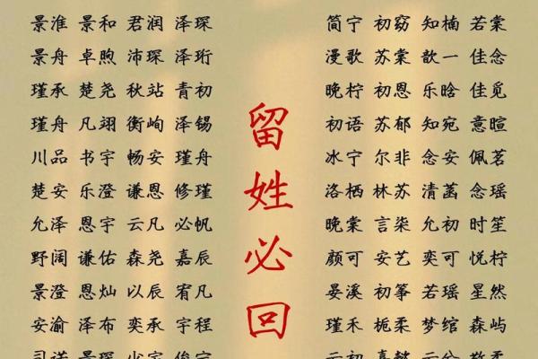 属鸡申时出生的男孩该如何起名，宜用什么字姓名