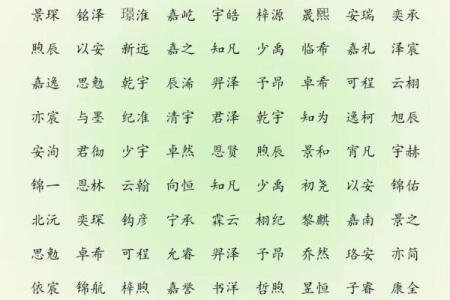 2019年4月14号子时出生的男孩应该起什么样的名字姓名