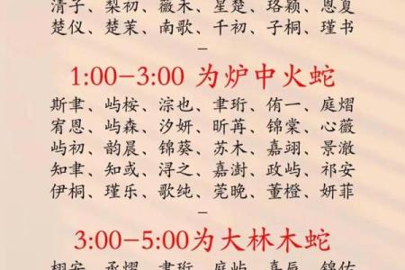 2019年4月1号卯时出生的男孩要怎么起名字姓名
