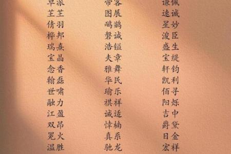 贸易公司名称大全-名字大全姓名