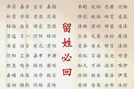 2019年3月27号酉时出生的男孩应该起什么样的名字姓名