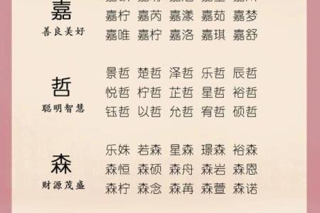 2019年5月15号寅时出生的男孩如何起名姓名