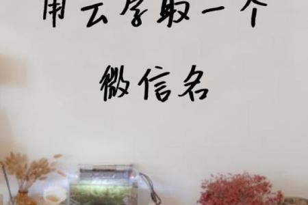 云姓女孩名字大全-云姓女孩起名字大全-云姓名字大全姓名