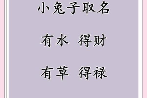 1月份出生的属兔男孩该怎样取名字姓名