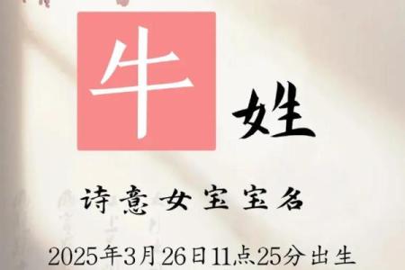 下午3点出生的属牛男孩怎么取名好姓名