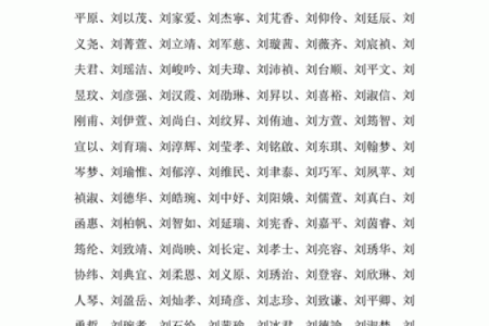 2019年出生的姓刘男孩如何起名，宜用什么字姓名