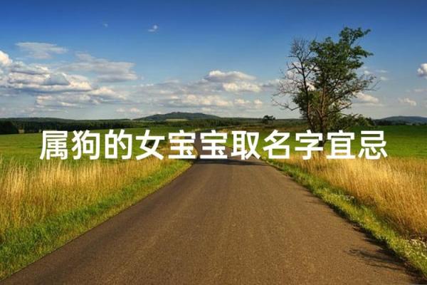 早上出生的属狗男孩怎么取名 ，宜用什么字姓名