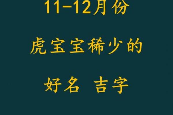 晚上1点出生的属虎男孩如何起名，用什么字姓名