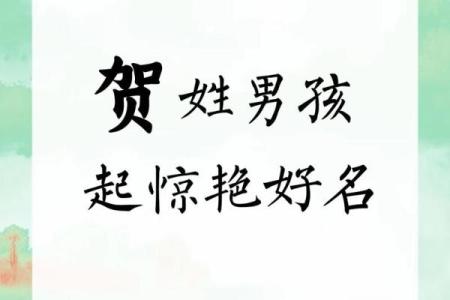 贺姓女孩名字大全-贺姓女孩起名字大全-贺姓名字大全姓名