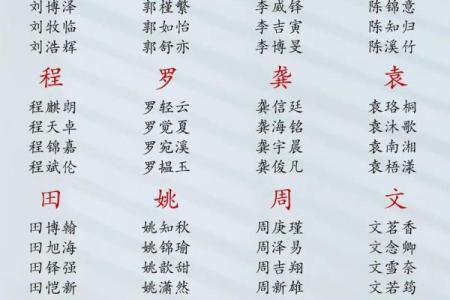 晚上12点出生的属鸡男孩起什么名字合适姓名