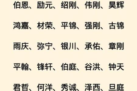 2019年6月15号卯时出生的男孩起名时要注意什么姓名