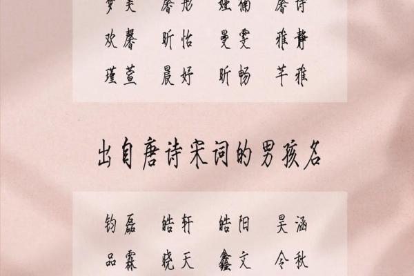 2019年4月5号子时出生的男孩如何起名姓名