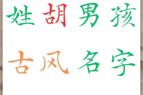 姓胡的名人-姓名学-华易算命网姓名