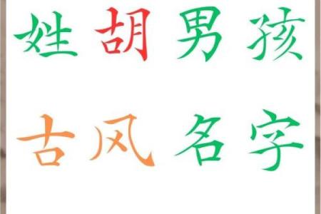 姓胡的名人-姓名学-华易算命网姓名