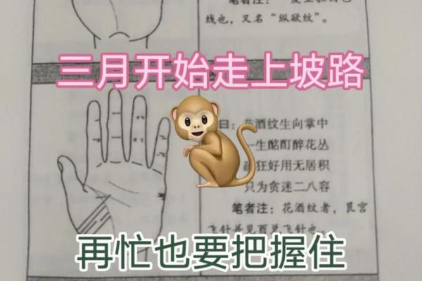 2016年猴宝宝起名有什么禁忌-姓名学-华易算命网姓名 2016年猴宝宝起名有什么禁忌-姓名学-华易算命网姓名