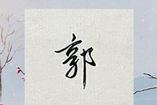 2019年出生的姓郭男孩如何起名,宜用什么字姓名 2019年出生的姓郭男孩如何起名,宜用什么字姓名