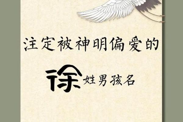 2019年出生的姓徐男孩如何起名，宜用什么字姓名