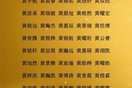 早上九点出生的属羊男孩起什么名，应用什么字姓名