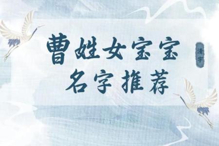 曹姓女孩名字大全-曹姓女孩起名字大全-曹姓名字大全姓名