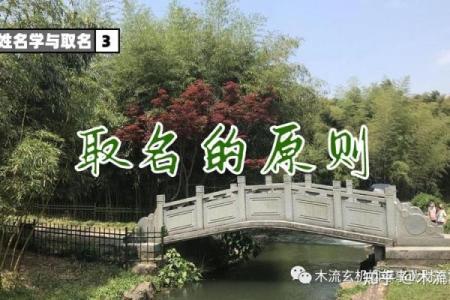 姓艾的名人-姓名学-华易算命网姓名