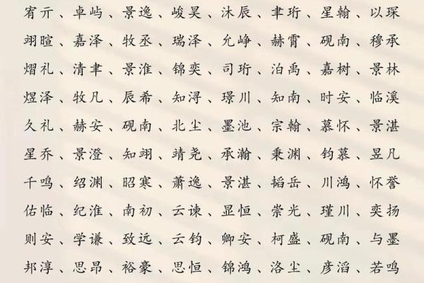 2019年3月27号子时出生的男孩应该起什么样的名字姓名