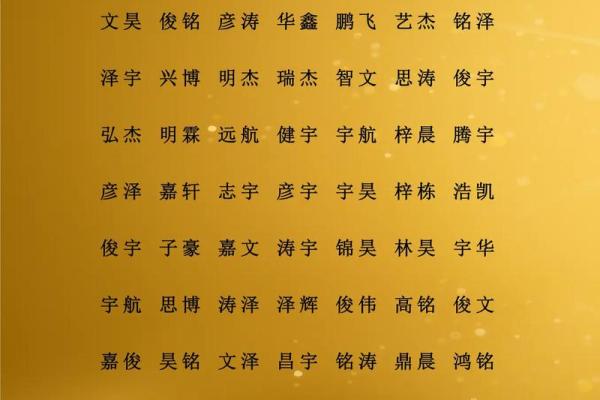 2019年4月6号寅时出生的男孩起名方法姓名