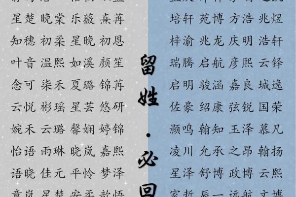 2019年3月17号申时出生的女孩如何起名姓名