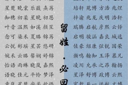 2019年3月17号申时出生的女孩如何起名姓名