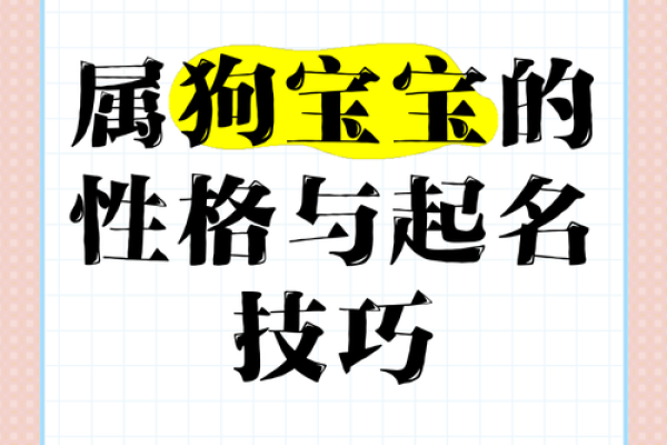 晚上十点出生的属狗男孩怎么取名，用什么字姓名