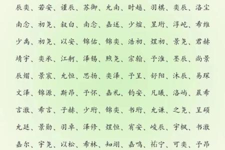 2019年3月17号亥时出生的男孩应该起什么样的名字姓名
