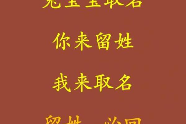 2月份出生的属兔男孩该怎么取名字姓名