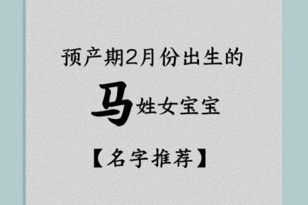 2019年3月30号辰时出生的女孩应该起什么样的名字姓名