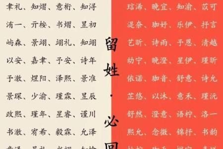 在线取名字大全-取名大全-宝宝取名软件-姓名学-姓名分析姓名