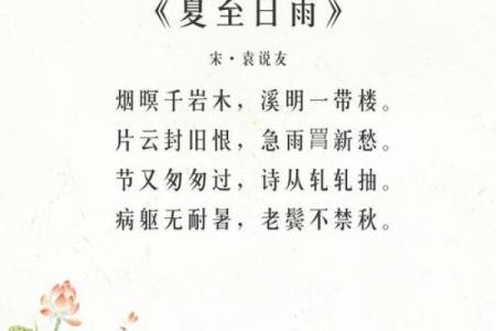 夏至时节出生的女孩小名怎么取,好听诗意的女孩乳名姓名