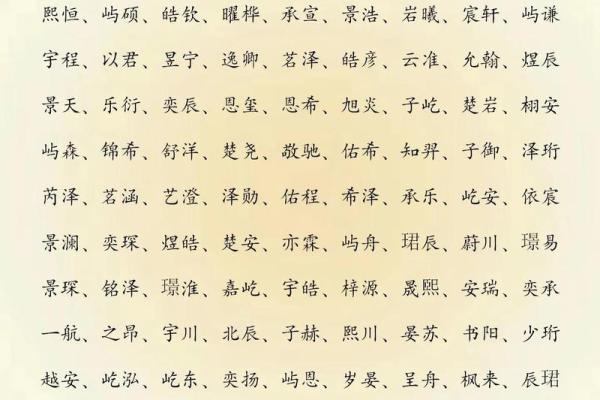 2019年5月19号寅时出生的男孩应该起什么样的名字姓名